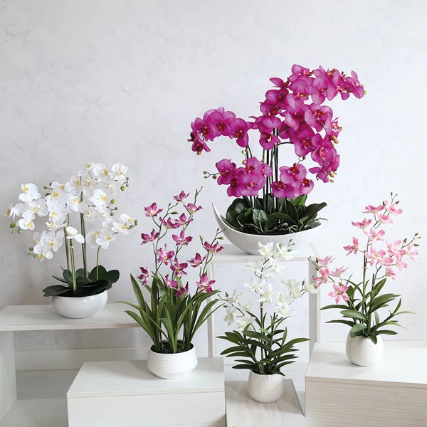 STRAITS Cattleya Orchid Pink 54cm - Image 2